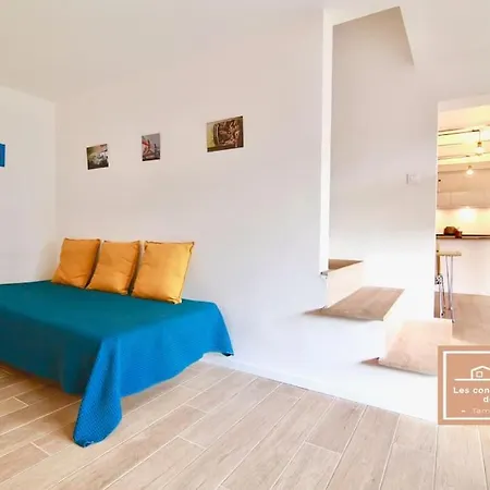 L'olivier Tatil Evi