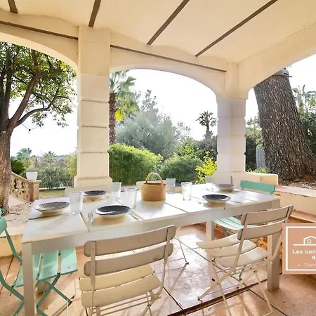L'olivier Tatil Evi *